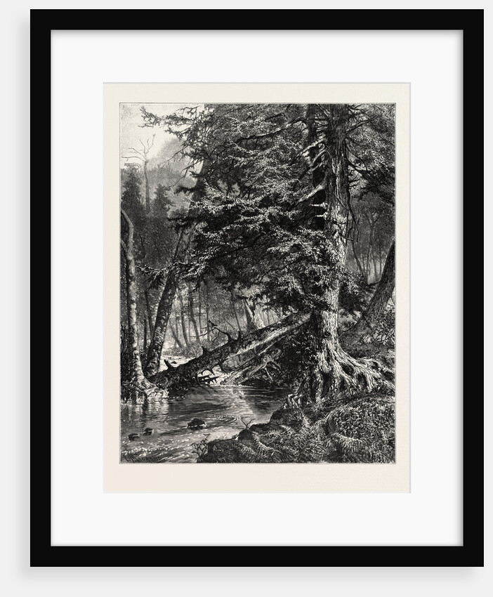 Kettle Run, Altoona by Anonymous