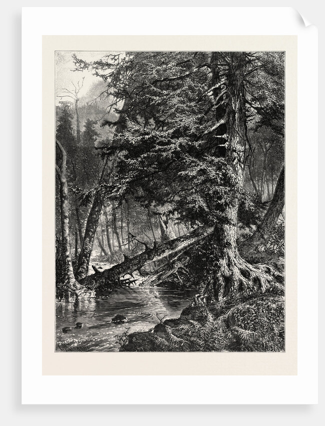 Kettle Run, Altoona by Anonymous