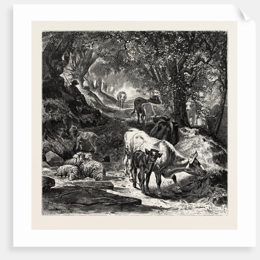 The Shady Lane by Anonymous