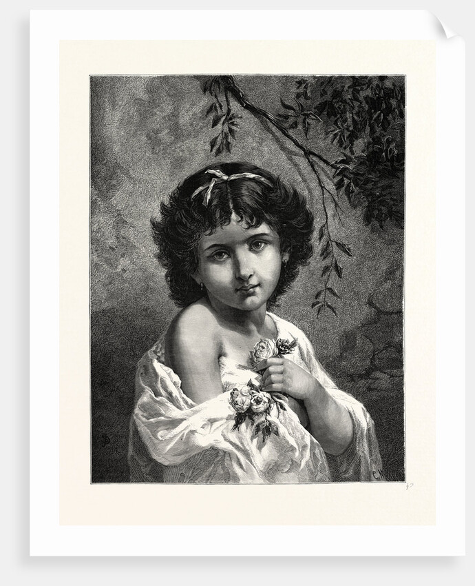 Little Rose by Anonymous