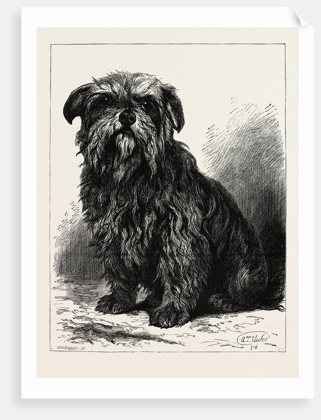 The Ugly Beauty by Anonymous