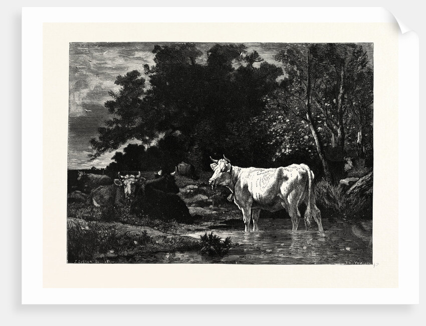 The Woodside Brook by Anonymous