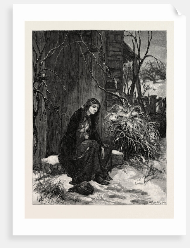 Mary of the Wild Moor by Anonymous