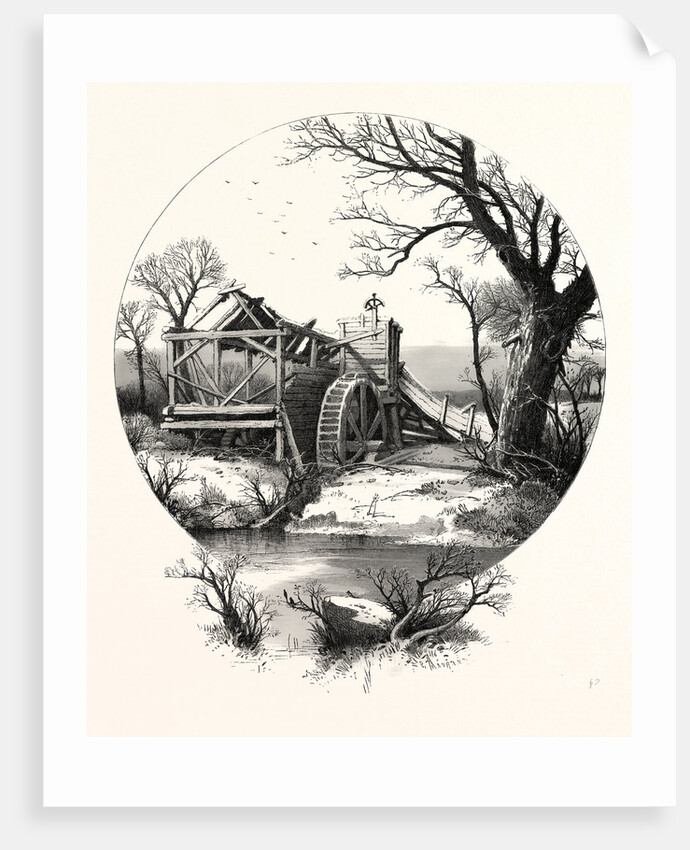 Winter. The Trees Stand Shivering in the Frosty Air by Anonymous