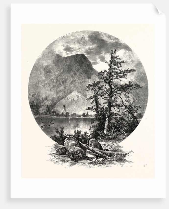 A Spur of Tammany, Delaware Water Gap by Anonymous