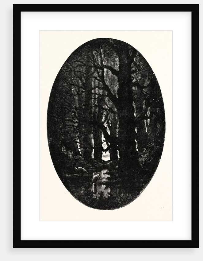 How Many Centuries of Change and Chance Those Gnarled Gray Trunks Have Sentineled, Calm and Still by Anonymous