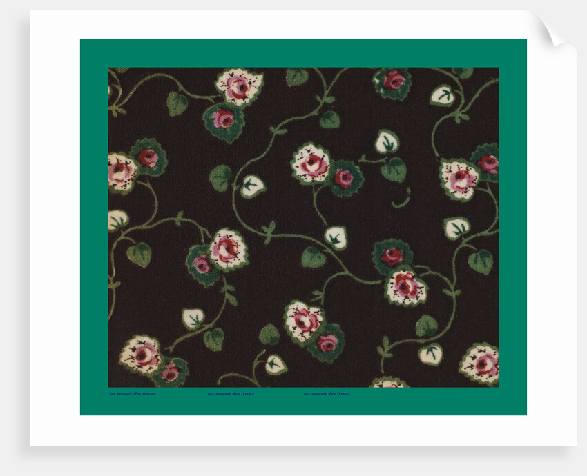 French Fabrics; First Half of the Nineteenth Century by Anonymous