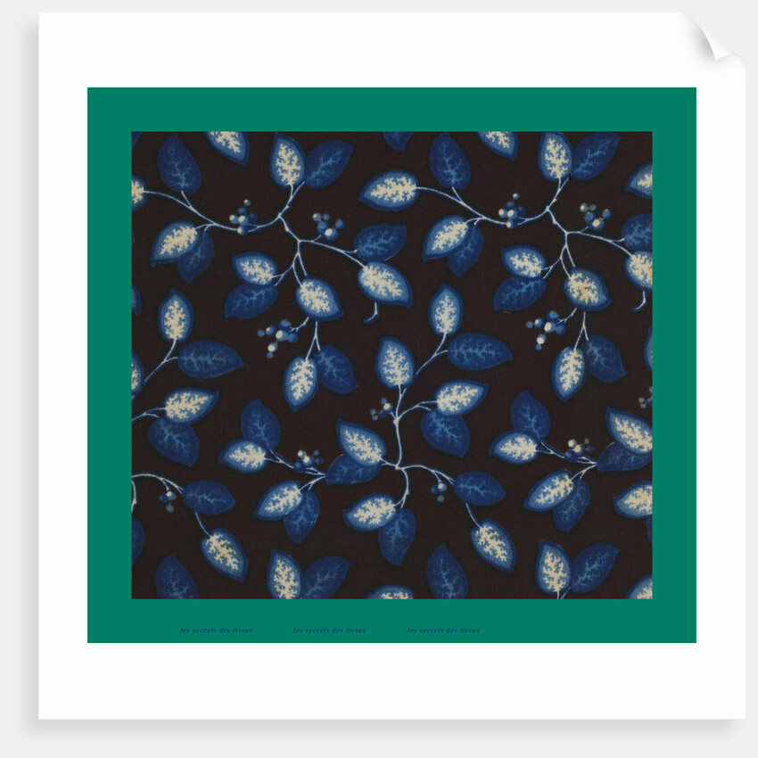 French Fabrics; First Half of the Nineteenth Century by Anonymous