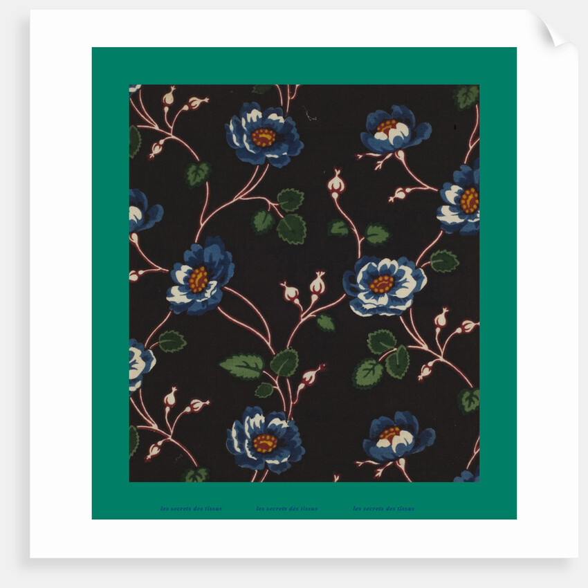 French Fabrics; First Half of the Nineteenth Century by Anonymous