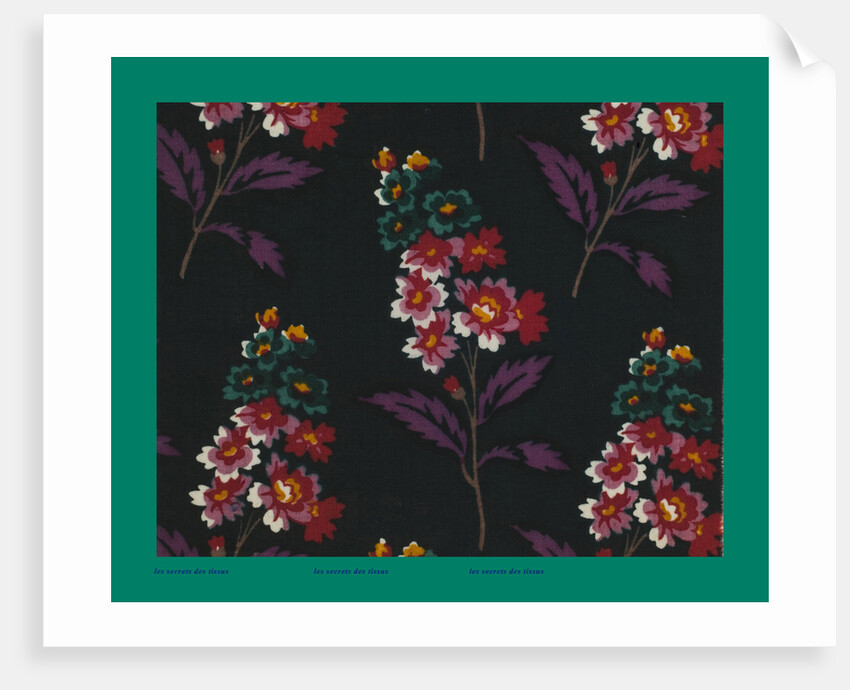 French Fabrics; First Half of the Nineteenth Century by Anonymous