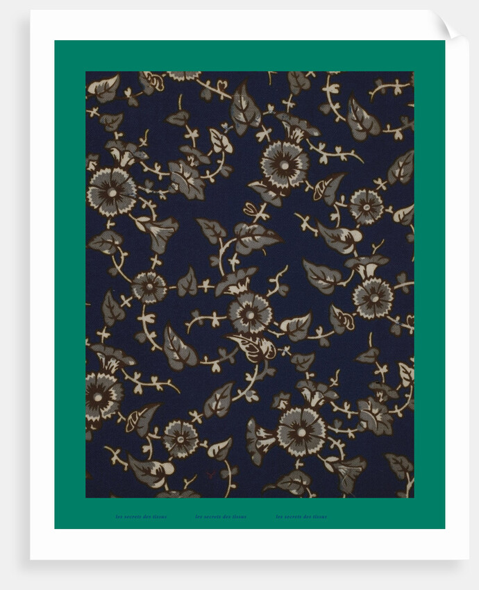 French Fabrics; First Half of the Nineteenth Century by Anonymous