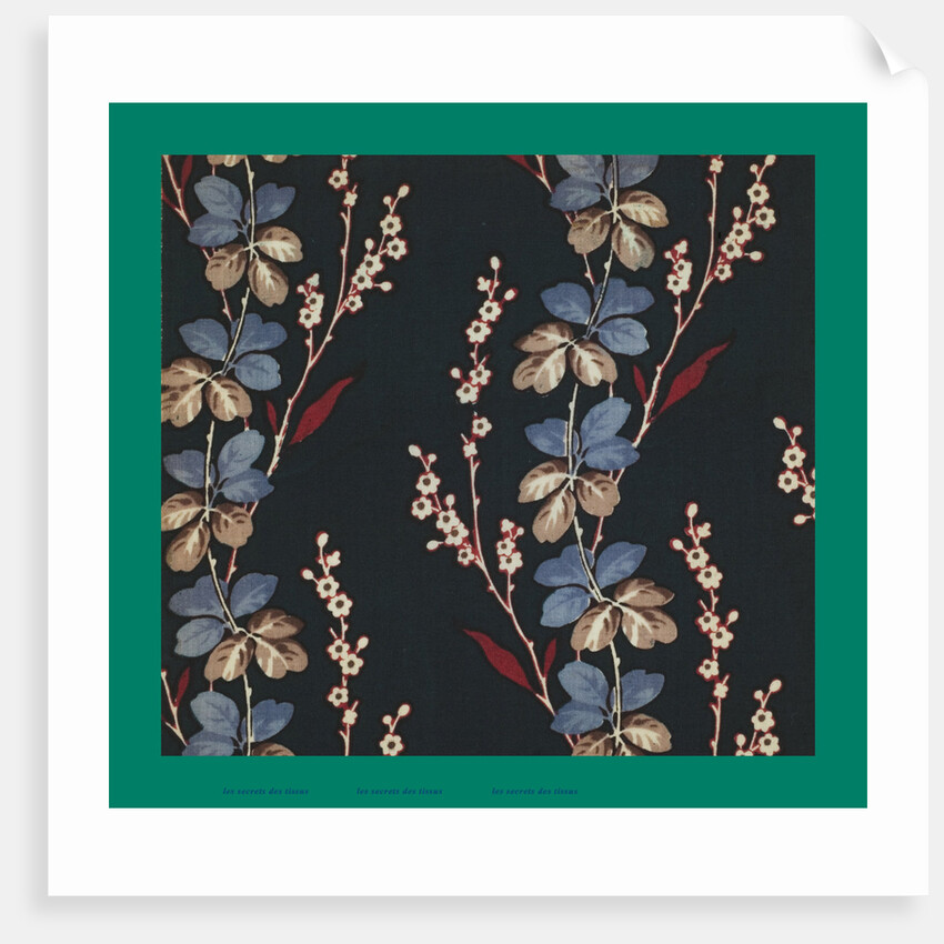 French Fabrics; First Half of the Nineteenth Century by Anonymous