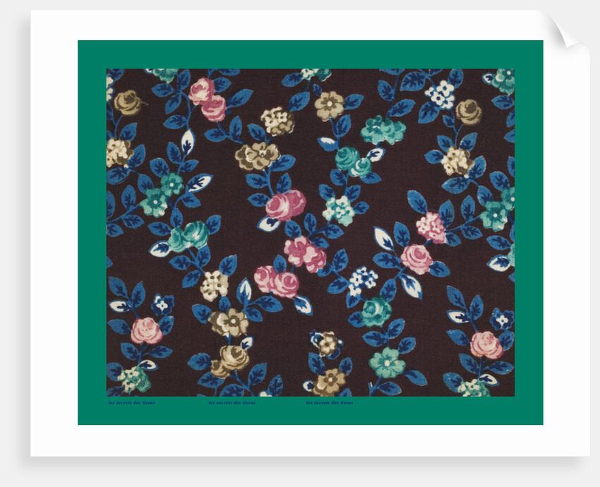 French Fabrics; First Half of the Nineteenth Century by Anonymous