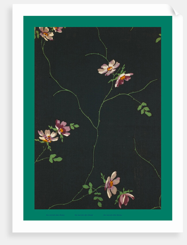 French Fabrics; First Half of the Nineteenth Century by Anonymous