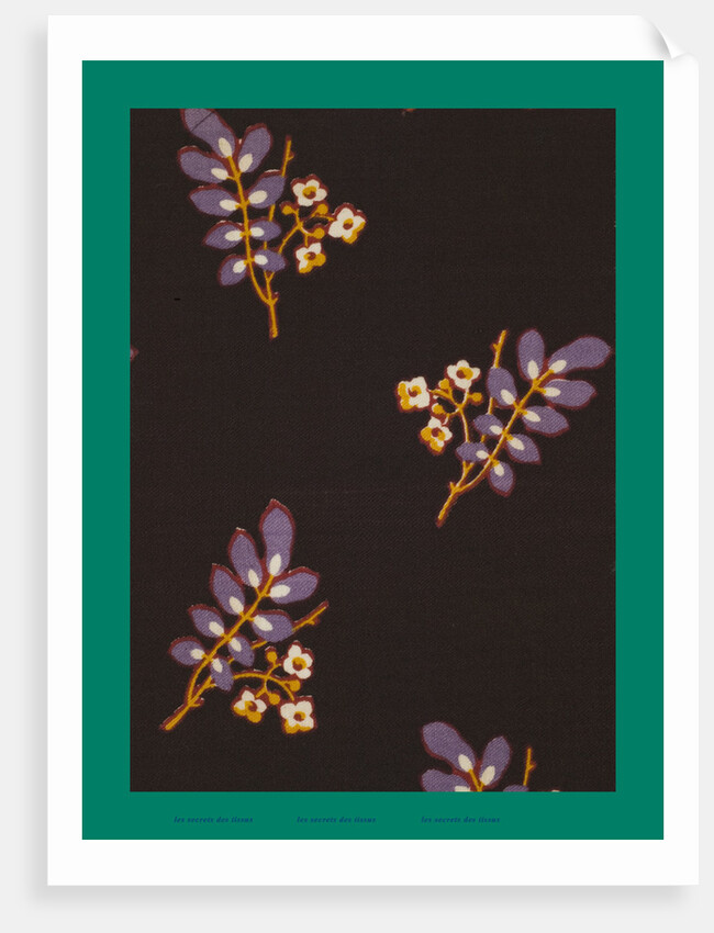 French Fabrics; First Half of the Nineteenth Century by Anonymous