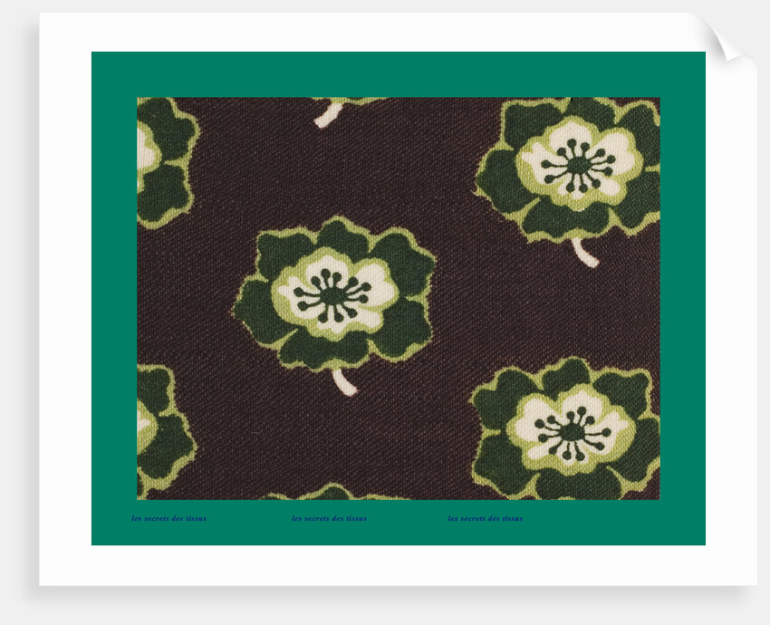 French Fabrics; First Half of the Nineteenth Century by Anonymous