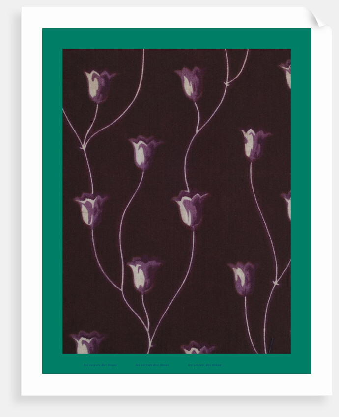 French Fabrics; First Half of the Nineteenth Century by Anonymous