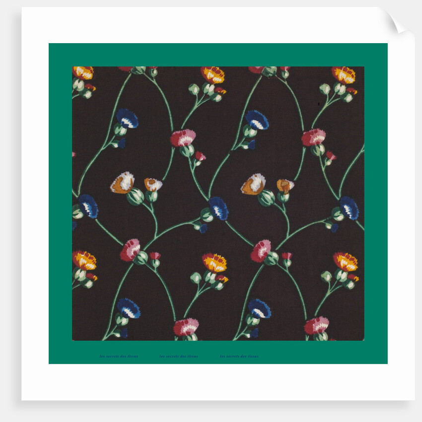 French Fabrics; First Half of the Nineteenth Century by Anonymous