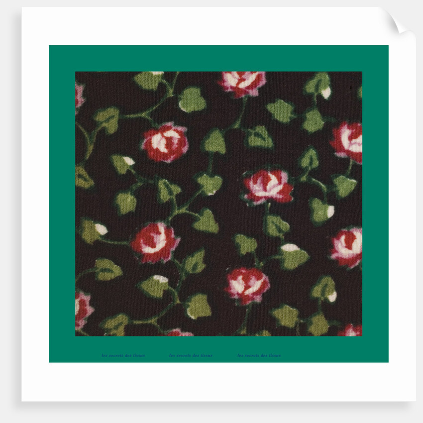 French Fabrics; First Half of the Nineteenth Century by Anonymous
