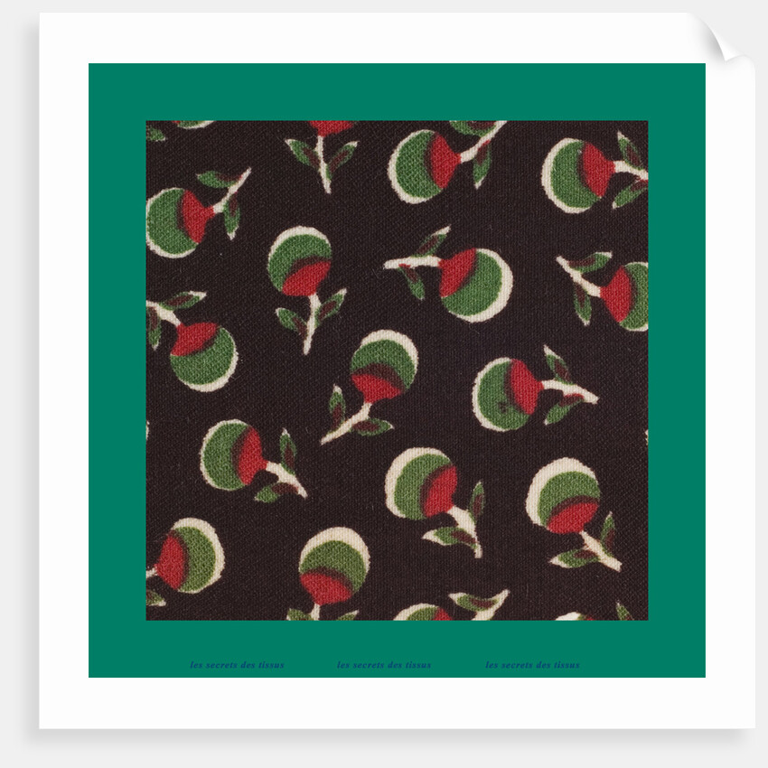 French Fabrics; First Half of the Nineteenth Century by Anonymous