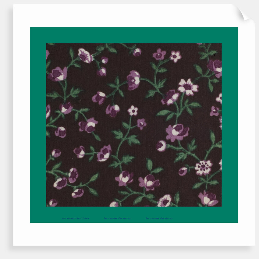 French Fabrics; First Half of the Nineteenth Century by Anonymous