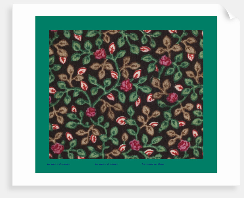 French Fabrics; First Half of the Nineteenth Century by Anonymous