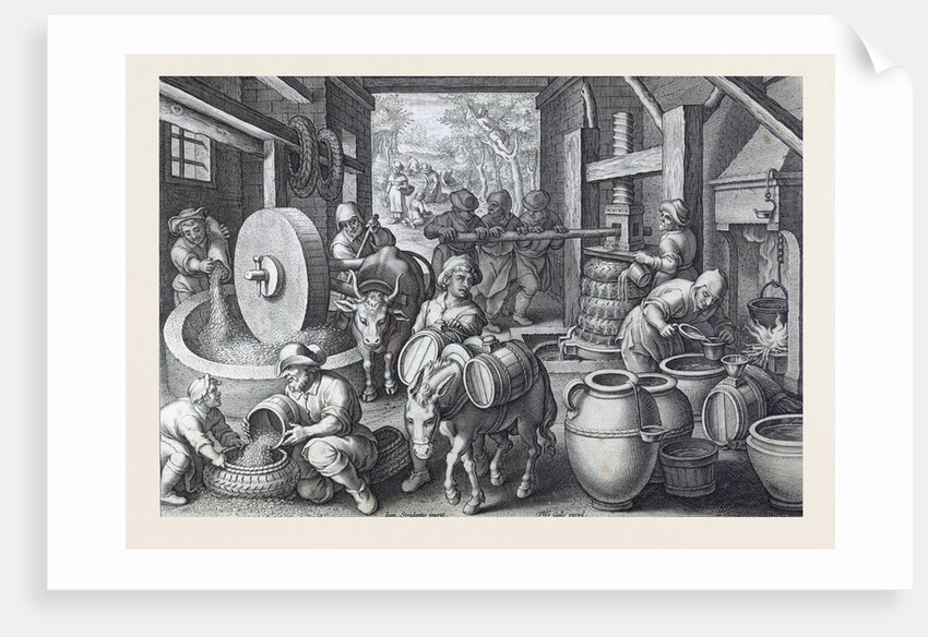 Oleum Olivarum by Anonymous