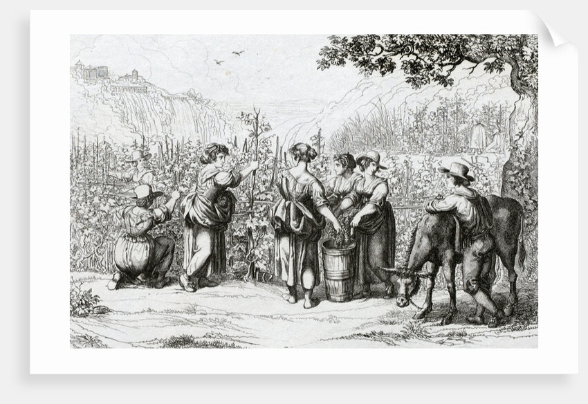 The Harvest in Tivoli by Anonymous