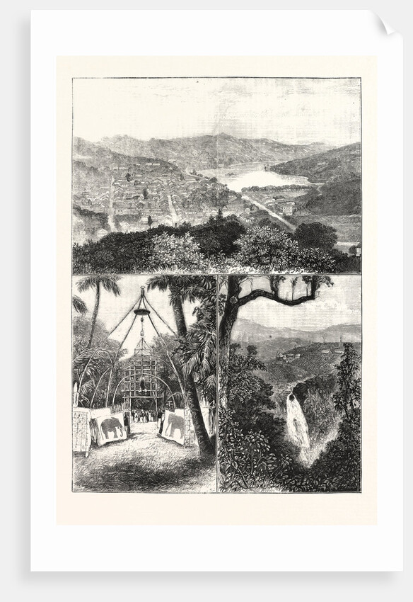 The Prince of Wales at Ceylon, 1876, Sri Lanka by Anonymous