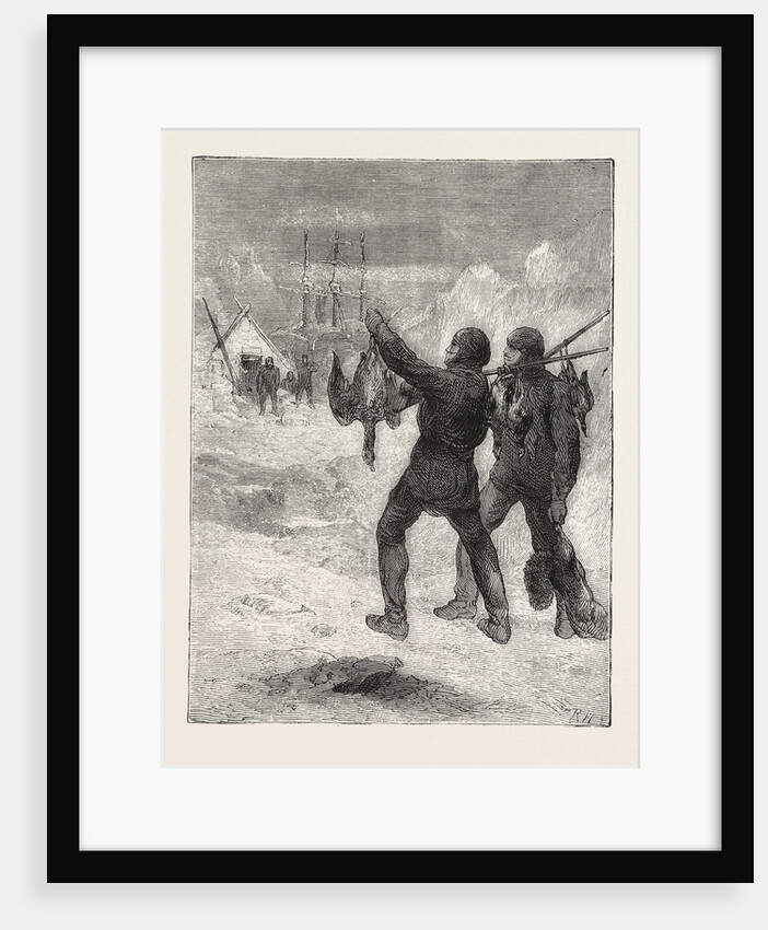 Christmas with the Arctic Expedition, 1876, Fresh Meat for Dinner by Anonymous