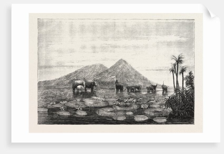 The Great Tank of Minery in the Island of Ceylon by Anonymous