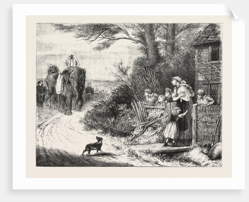 The Prince of Wales's Menagerie, the Elephants  Salar and Jung Being Brought to London by Road by Anonymous