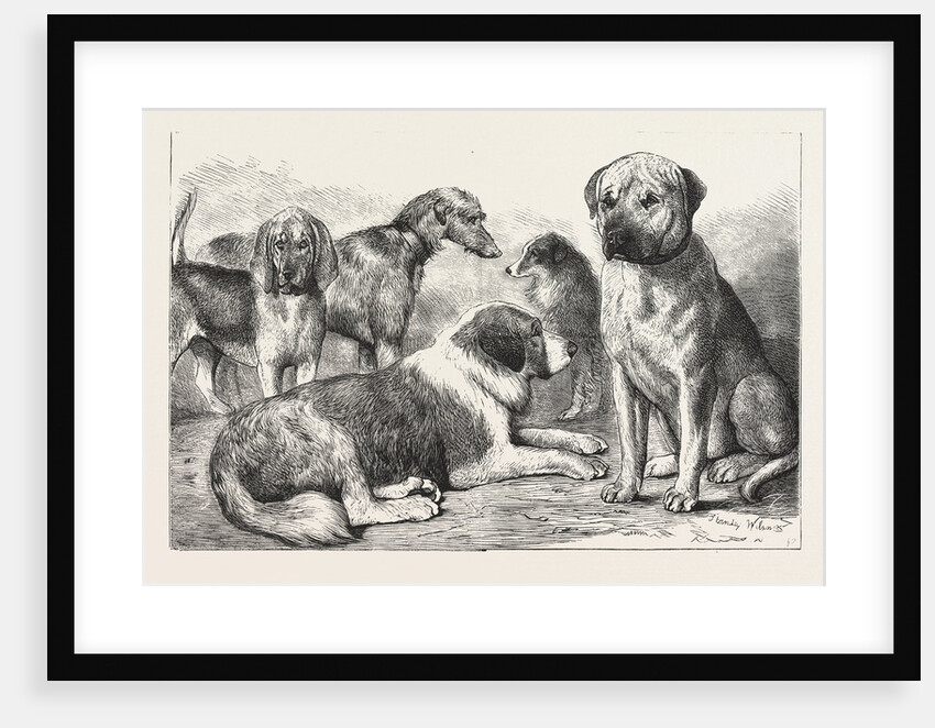 Winners at the Dog Show of the Kennel Club by Anonymous