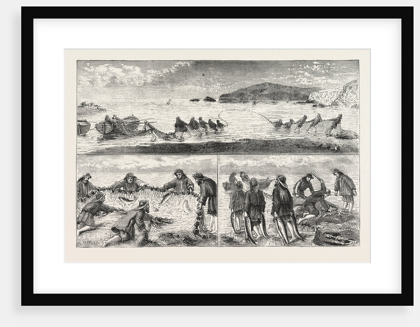 Salmon Fishing by Anonymous