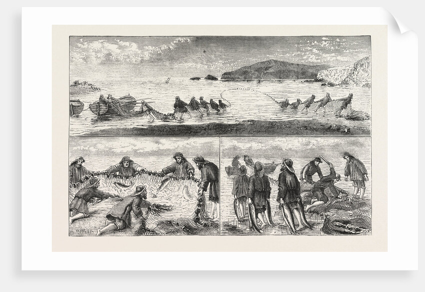 Salmon Fishing by Anonymous