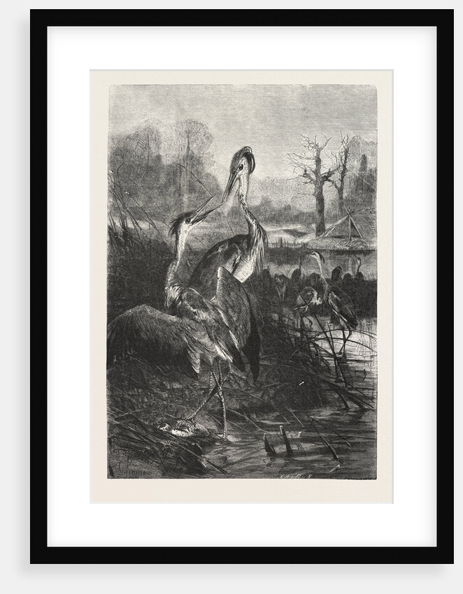The Quarrelsome Anglers by Anonymous