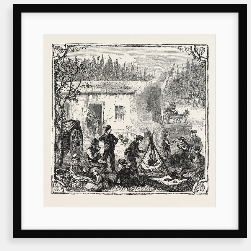 Hops and Hop Pickers, in a Kentish Hop Garden, Kent, England, the Temporary Home by Anonymous