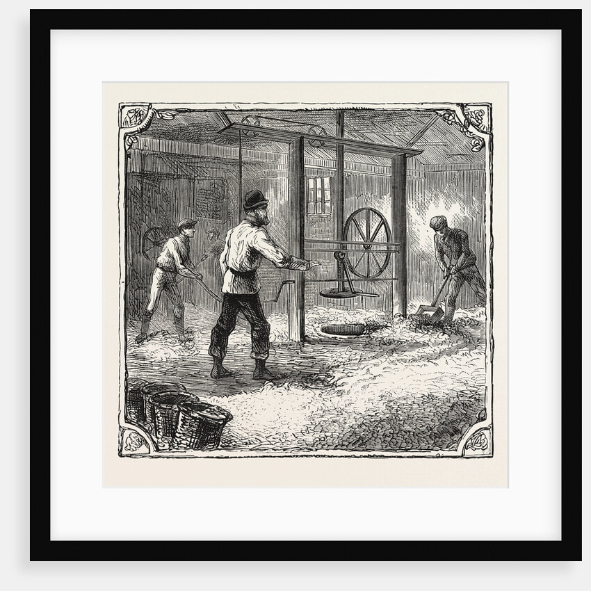 Hops and Hop Pickers, in a Kentish Hop Garden, Kent, England, Filling the Pockets the Press-House by Anonymous