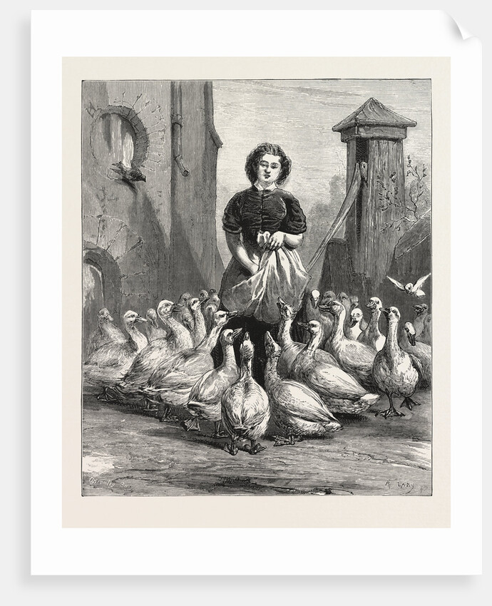 Michaelmas Geese, the Last Meal by Anonymous