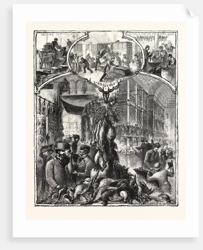 The Shooting Season, Game in the London Markets by Anonymous