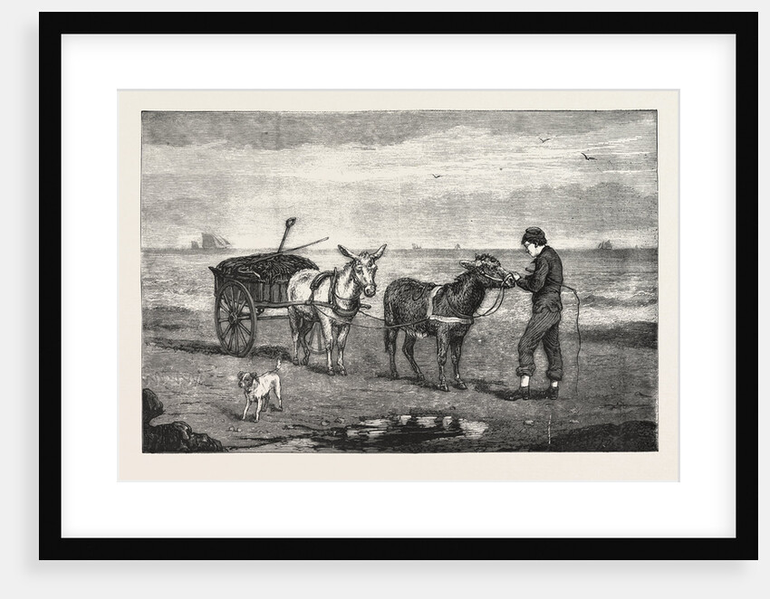 Gathering Seaweed: A Sketch on the Sands at Whitby by Anonymous