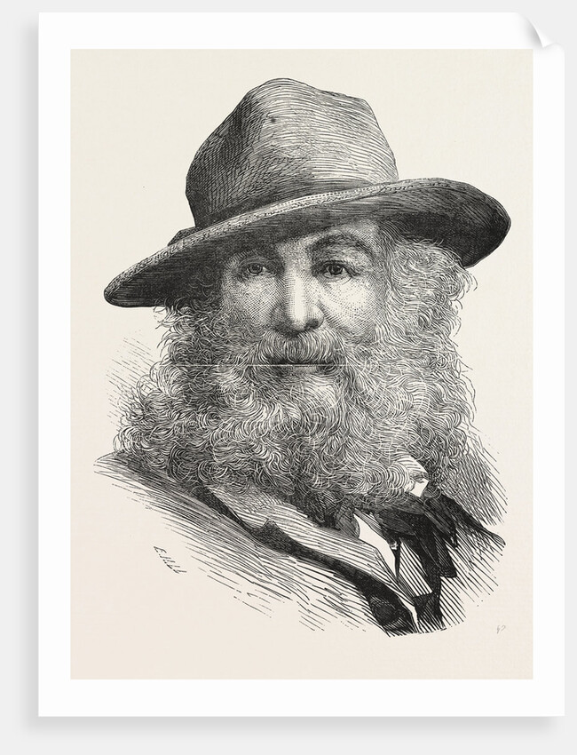 Walt Whitman, May 31, 1819 – March 26, 1892, Was an American Poet, Essayist and Journalist, United States by Anonymous