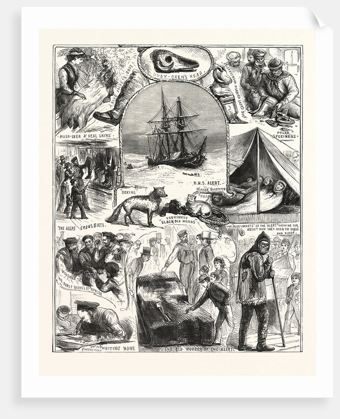 Return of the Arctic Expedition, Sketches on Board Her Majesty's Ships Alert and Discovery, at Queenstown, New Zealand, on Oct. 1876 by Anonymous