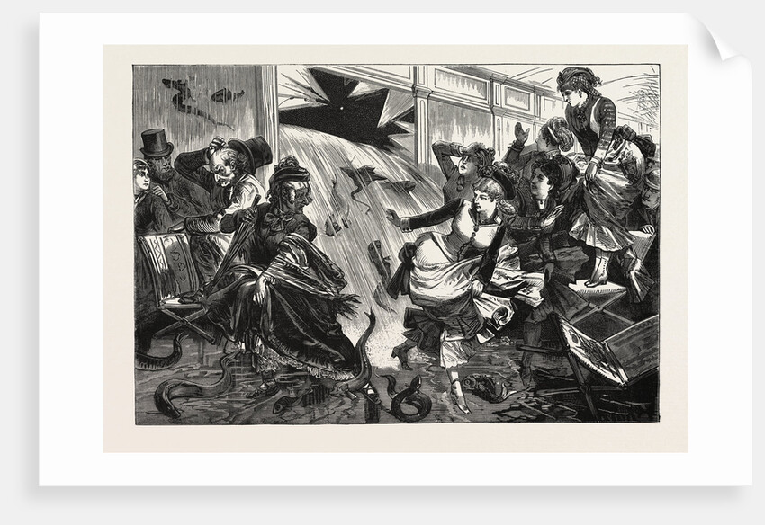 Exciting Scene at the New York Aquarium, Bursting of One of the Fish Tanks, United States by Anonymous