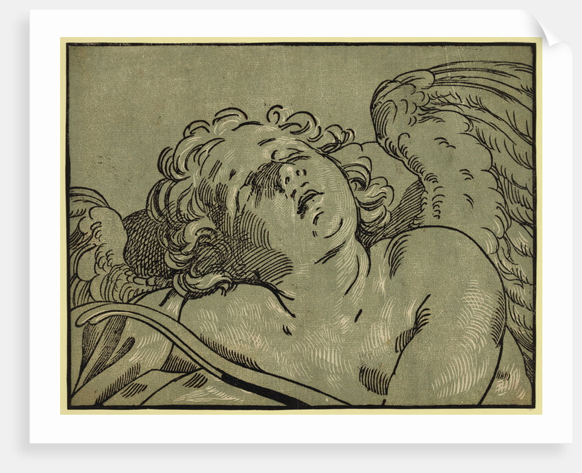 Head of Cupid, Between Ca. 1630 and 1675 by Anonymous