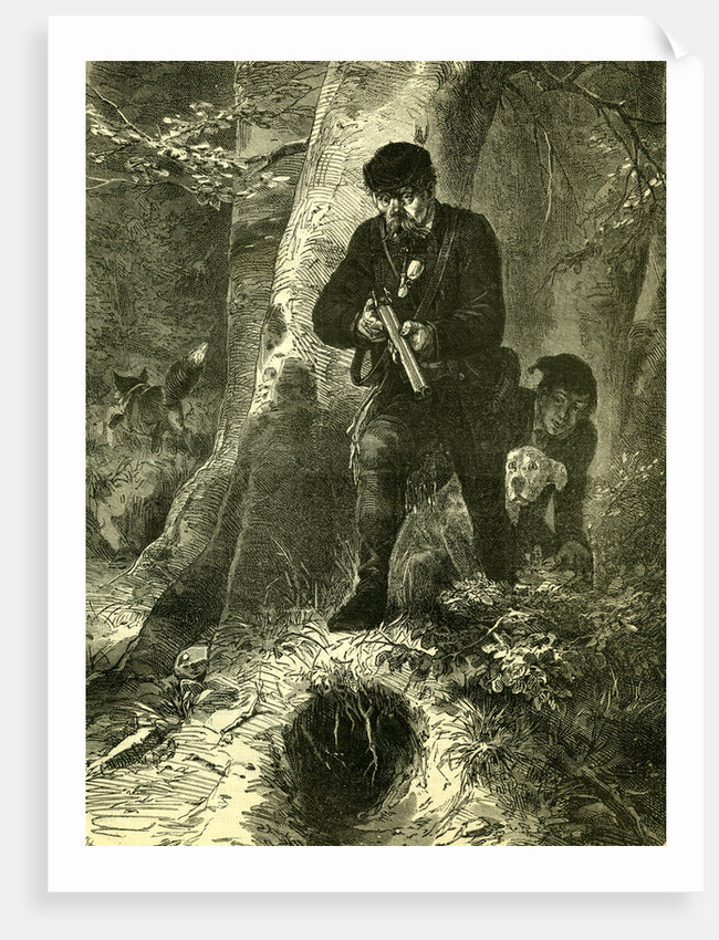 Fox Hunting 1891 Austria by Anonymous