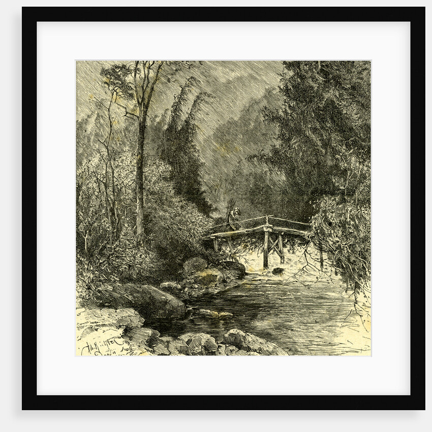 Woods Austria 1891 by Anonymous