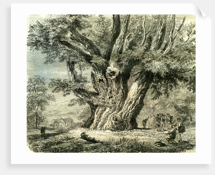 Prilly Lac De Geneve Switzerland 19th Century by Anonymous