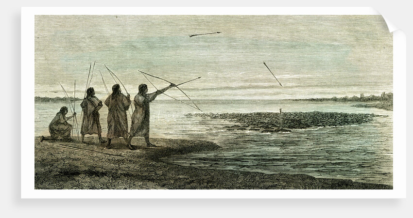 Turtles Hunt 1869 Peru by Anonymous