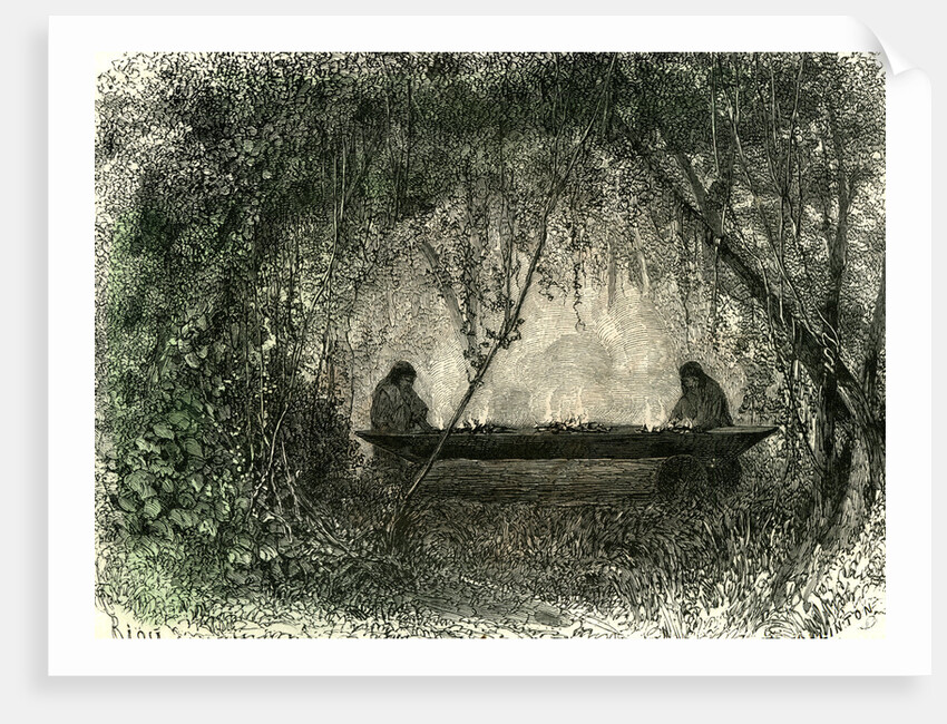 Canoe Fabrication 1869 Peru by Anonymous